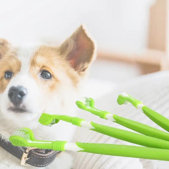 Escova de dentes tridimensional para pets: limpeza eficaz do boca e remoção de tártaro para cães