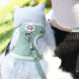 Arnês para para gatos, coleira ajustável para animais estimação, tração, coelho, gatinho, cachorro, corda - Image 4