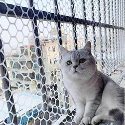 Rede de janela anti-queda malha de segurança gato boa tenacidade corte livremente plástico bebê pet varanda casa suprimentos - Image 1