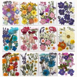 Flores secas flores preservadas materiais de resina epóxi velas diy materiais florais hortênsia uma variedade de flores em um pacote - Image 1