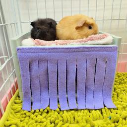 Hide House Bed Tassel Door Curtain, macio confortável, lavável, Small Animals Cage, acessórios para cobaia - Image 5