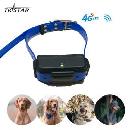 Tkstar-rastreador GPS tk919 tkstar, localizador 4g, bateria 3000mAh, impermeável, ímã, monitor de voz, aplicativo web gratuito - Image 1