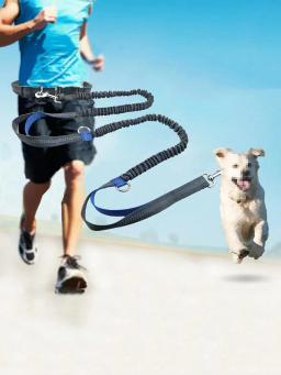 Corrida elástica e corda de tração, à prova de explosão, corda especial do cão, esportes ao ar livre, corrente do cão, andando, 1 - Image 1