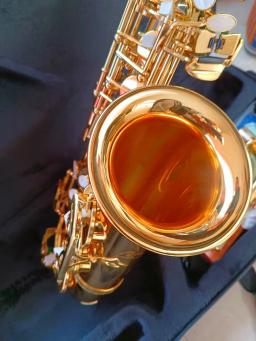 Profissional Alto Eb saxofone com caso acessórios, bronze ouro, E Flat Sax desempenho, instrumento musical, 802 - Image 1