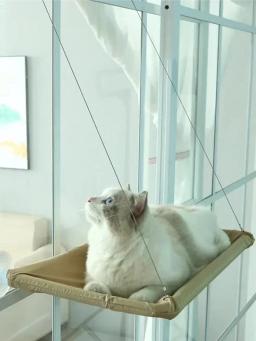Nova rede de sucção para gatos, suprimentos para animais de estimação, rede dobrável, pendurado, janela de cama de gato, acessórios para gatos, castelo - Image 5