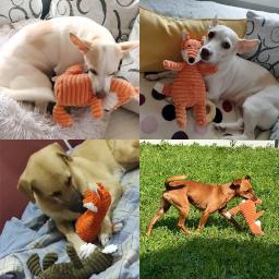 Cão squeak soando brinquedo de pelúcia interagir treinamento animais de estimação cães brinquedo guaxinim voz animal escudo de couro doméstico suprimentos para cães de estimação - Image 3