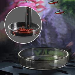 Tubo De Alimentador De Aquário De Vidro Tanque De Peixes Transparente Alimentador De Comida De Caracol De Camarão, Tigela, Acessórios De Alimentação - Image 5