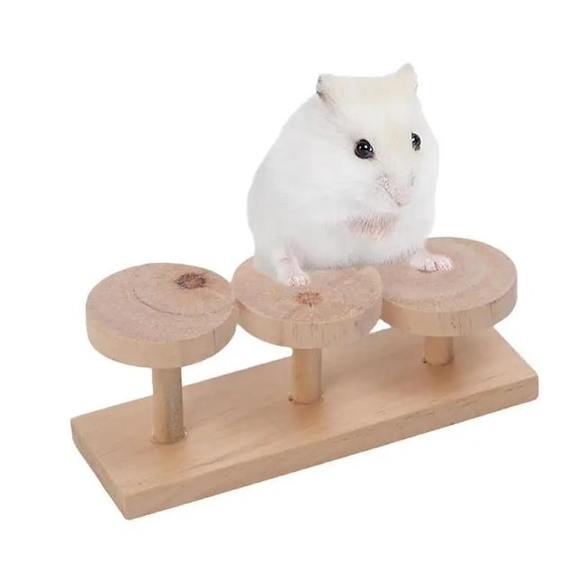 Plataforma de Escalada de Madeira para Pequenos Animais com Rampas Seguras e Escadas para Hamsters e Outros Pets