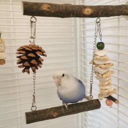 Papagaio Stand Swing Brinquedos com poleiro de madeira, quebra-cabeça resistente à mordida, Fitness Bird Perch, Trapeze Stick for Lovebird and Cockatiel - Image 4