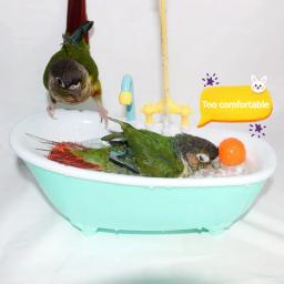 Gaiola De Banho De Pássaro De Chuveiro De Papagaio Automático, Tigela De Chuveiro, Brinquedo Do Papagaio, Acessórios De Banheira De Pássaro - Image 1