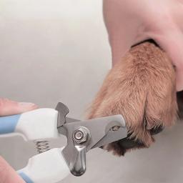 Profissional Pet Nail Clippers, Dog Cat Aço Inoxidável, Conveniente Beleza Limpeza Suprimentos, Clippers de Poupança de Trabalho, 2 Cores - Image 3