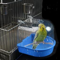 Pet Bird caixa de banho para papagaio, banheira, acessórios gaiola para periquito e canário, Conure e papagaio, novo - Image 1