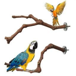 Wood Parrot Bird Stand, Ramo De Árvore, Brinquedos Pendurados, Poleiros De Gaiola, Pet Budgie - Image 2