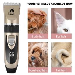 Profissional cabelo elétrico Clipper Set para animais de estimação, grooming aparador para cães e gatos, USB recarregável, baixo decibel, corte de cabelo, corte de cabelo - Image 5