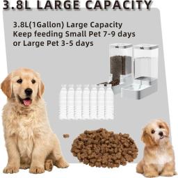 Alimentador automático do animal de estimação para o gato e o cão, todos os alimentos para gatos, água potável, cão suprimentos - Image 4