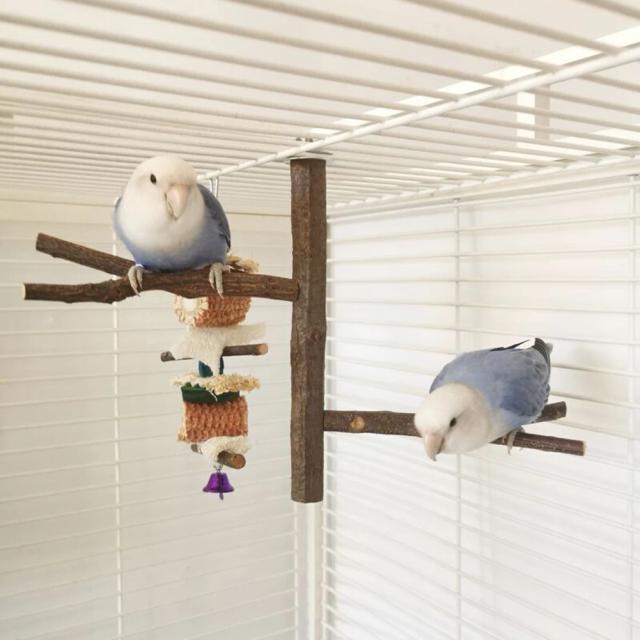 Poleiro Multiuso para Pássaros: Brinquedo Natural para Periquitos em Gaiolas