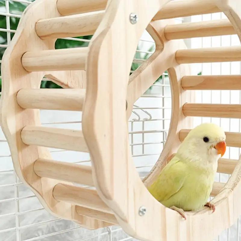 Roda de exercício para papagaio, roda giratória interativa, pássaros de madeira, brinquedos, gaiola, acessórios para conures, periquitos, papagaios, calopsitas - Image 1