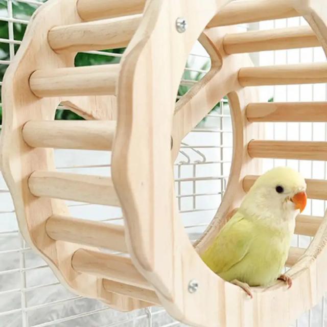 Roda Giratória Interativa para Papagaios e Aves: Brinquedo de Madeira para Gaiolas, Ideal para Conures, Periquitos e Calopsitas