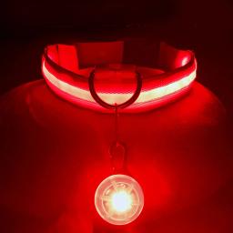 Carregamento usb colar de cão brilhante com pingente destacável luxo led luz brilhante para cães pequenos gato noite segurança colar atacado - Image 5