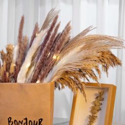 30 pçs flores secas natureza fofo pampas grama para festa de casamento decoração coelho cauda de coelho canas flores artificiais decoração de casa - Image 2
