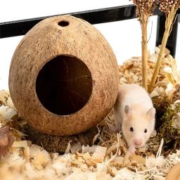 Gaiola de Hamster Pequena Resistência a Arranhões, Casa Simples do Hamster, Ninho de Animal, Cobaia, Casca de Coco, Esconderijo Pequeno - Image 2