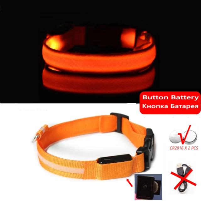 Colar LED Anti-Perda para Cães com Iluminação Noturna e Carregamento USB, Acessórios para Filhotes e Pets
