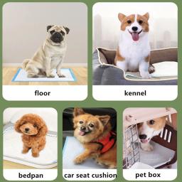 Tapete de urina descartável à prova de vazamento para treinamento de animais, fraldas absorventes grossas para cães e gatos, almofadas de cachorro, 100 PCs, 50 PCs, 40 PCs, 20PCs - Image 5