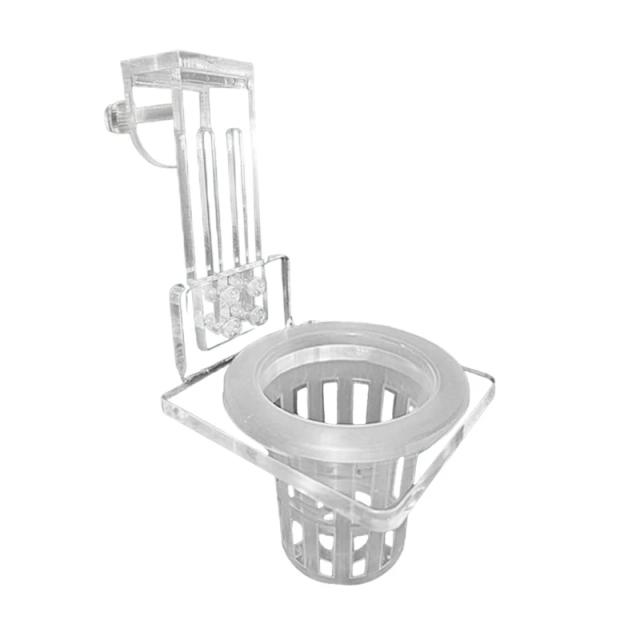 Suporte Ideal para Plantas em Aquários e Tanques de Peixes: Suprimentos para Cultivo e Narcisos