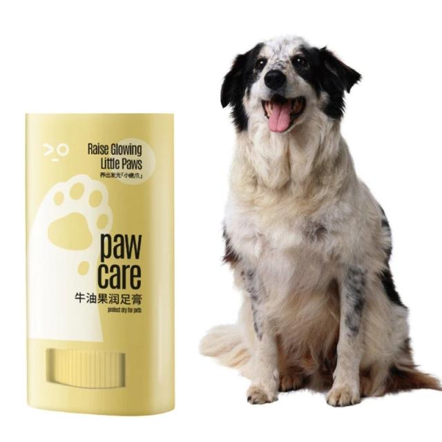Bálsamo Hidratante para Patas de Cães e Gatos - Conforto e Cuidados Essenciais para Seu Pet