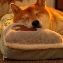 Cama para cachorro lavável antiderrapante, Sofá de luxo macio para cães pequenos e médios e gatos, Tapete de dormir removível, Pet Supplies, Inverno - Image 3