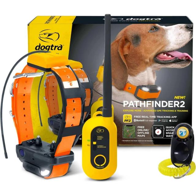 Coleiras Eletrônicas para Treinamento de Cães: Ecollar com GPS para Contenção de Raças Médias e Grandes