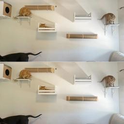 Wall Mounted Escalada Prateleira com Sisal Coçar e Ponte Passo Bed Móveis para Gatos, Prateleiras e Poleiros, Hammock - Image 2
