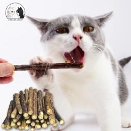 Puro Natural Catnip Pet Toy Suit, creme dental Molar de segurança, ramo de limpeza dos dentes, Silvervine Cat Snacks Sticks, Pet Shop, quente - Image 1