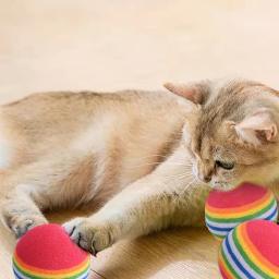 5/10/30 pçs arco-íris eva gato brinquedos bola interativa gato cão jogar mascar chocalho zero eva bola bolas de treinamento brinquedos para animais de estimação suprimentos - Image 4