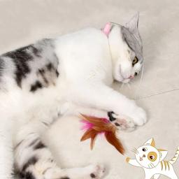 Brinquedos interativos para gatos, Teaser, Coleira, Self-hi, Jogo para gatos, Acessórios engraçados - Image 2