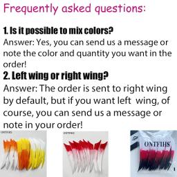 ONTFIHS-Turquia Natural penas para Archery Hunting, Sting Arrow, Fletching, Acessórios DIY, RW, 4 Polegada, 12pcs - Image 6