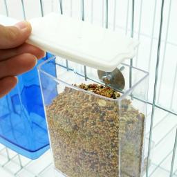 Caixa de alimentação para papagaios e pássaros, dispensador de alimentos, antisplash, alimentador de periquitos, gaiola parafuso, Pet Supplies - Image 3