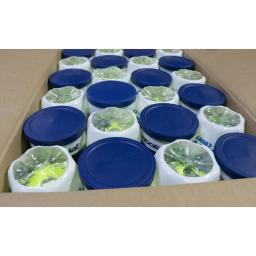 Original BABOLAT Tennis Ball EQUIPE ALL TRIBUNAL Formação Profissional Competição Bolas De Tênis 3pcs 1 Tubo De Feltro De Borracha Tenis Bolas - Image 6