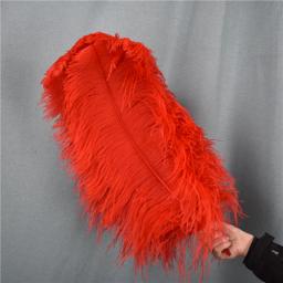 Decoração de Penas de Avestruz Vermelho, Penas Grandes para Artesanato, Top de Carnaval, Feriado, Acessórios para Casamento, Decoração, 15-70cm, - Image 4
