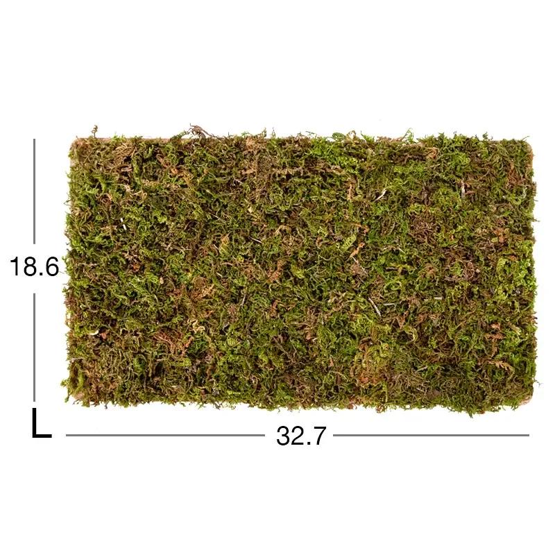 Natural Moss Mat Hamster Cage, Moss Terrace, Paisagismo Suprimentos, Pequenos Acessórios Pet, Tapete Multi-room - Image 1