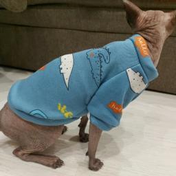 Terno bonito de gato estampado, pulôver quente para gatos, suéter macio para gatinho Kedi, roupas Sphynx, primavera e outono - Image 4