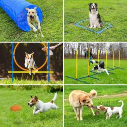 Conjunto De Equipamentos De Treinamento De Obstáculo Para Pet, Treinamento De Agilidade, Jumping Bar, Dispositivo De Treinamento Do Cão De Obstáculo, Pet Supplies - Image 5