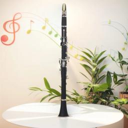 Clarinete plano bb de 17 teclas com estojo de transporte, pano de limpeza, chave de fenda, instrumento de clarinete, vento preto e instrumentos musicais de sopro - Image 4
