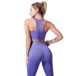 Conjunto de Yoga Sem Costura para Mulheres, Workout Sportswear, Roupas de Academia, Sutiã Esportivo, Leggings de Cintura Alta, Fatos Fitness, Roupas Esportivas, 2 peças - Image 2