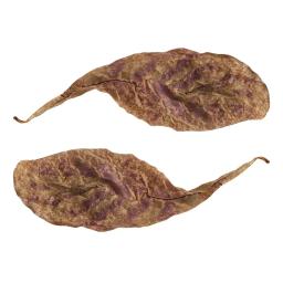 Folhas naturais terminfo, folha de almond, tratamento de limpeza de peixes, aquário, envio direto - Image 4