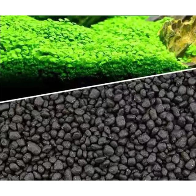 Adubo Natural para Aquário Plantado - Cascalho de Argila Preta 500g para Substrato Poroso em Água Doce