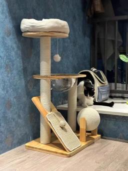 Torre compacta de madeira maciça para gatos com poste para arranhar e poleiro, casa aconchegante para economizar espaço para casa - Image 3