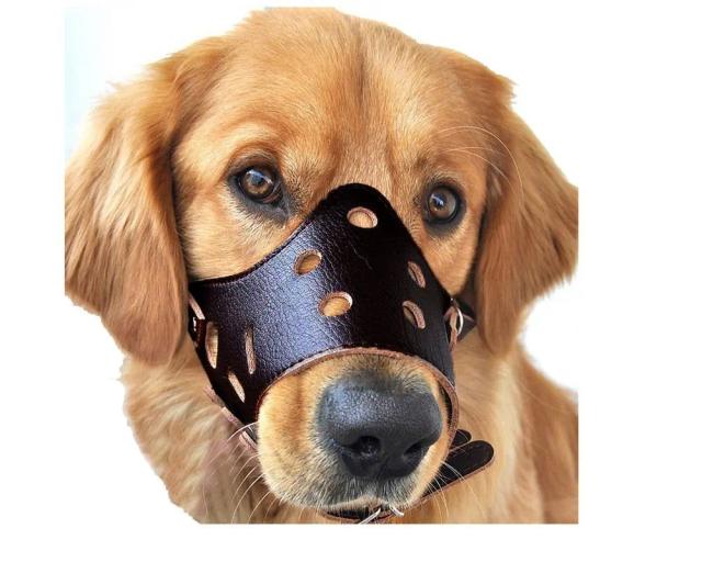 Focinho Ajustável e Respirável para Cães: Segurança Anti-Morder para Pets de Todos os Tamanhos