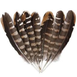 Pena De Pavão Natural Para Artesanato, Penas De Avestruz, Penas De Faisão Para Fazer Jóias, Ornamentos De Carnaval, Decoração Plumas - Image 2