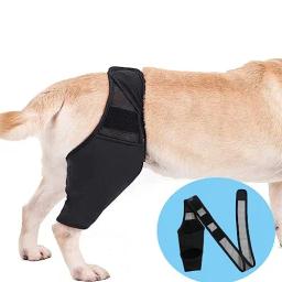 Pet Dog Joelho Dor Joelho Brace, suporte de quadril, suporte para pernas traseiras para cães idosos, deficientes e feridos - Image 1